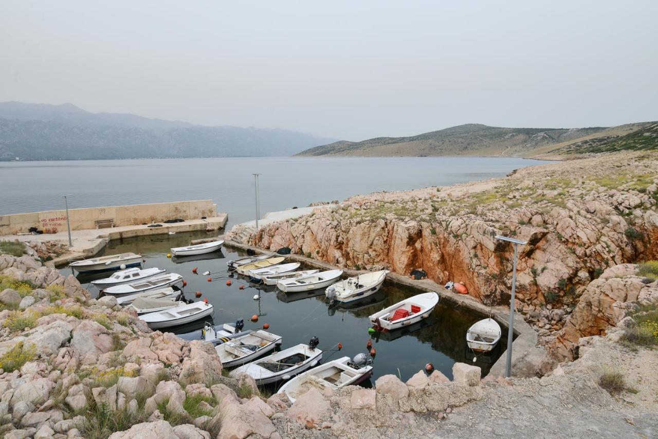 Apartman Olive 2 Zadar Bagian luar foto